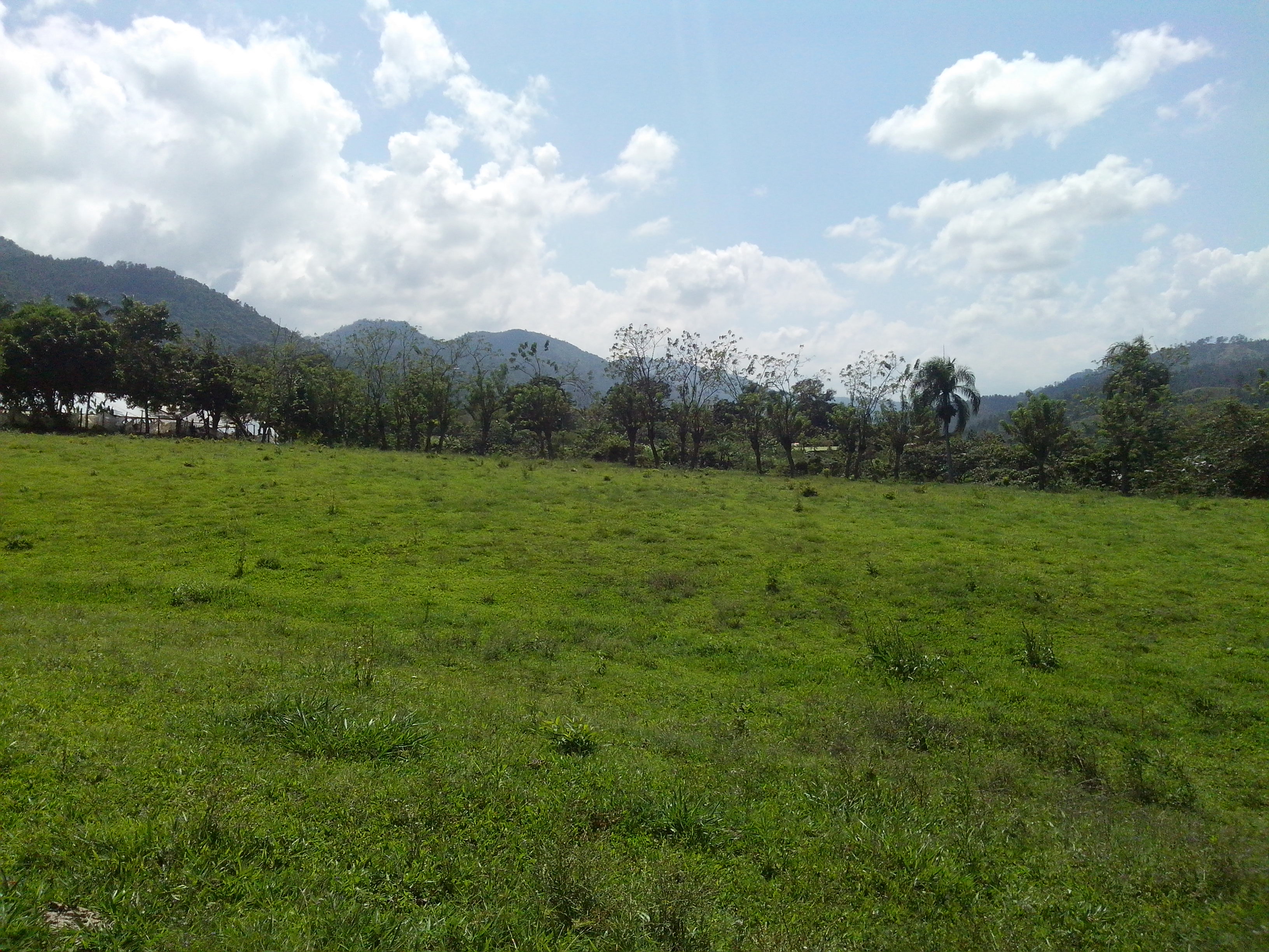 Plaza Libre Finca en venta en La Vega